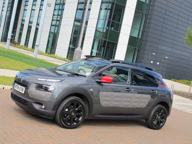 c4 cactus van c4 cactus van